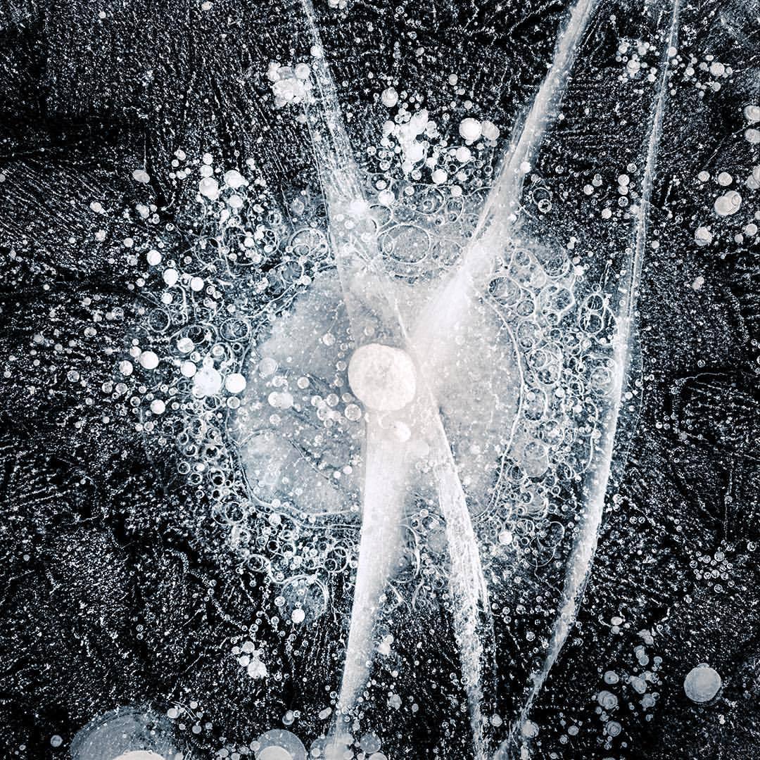 Ryota Kajita "Frozen Bubbles #49"